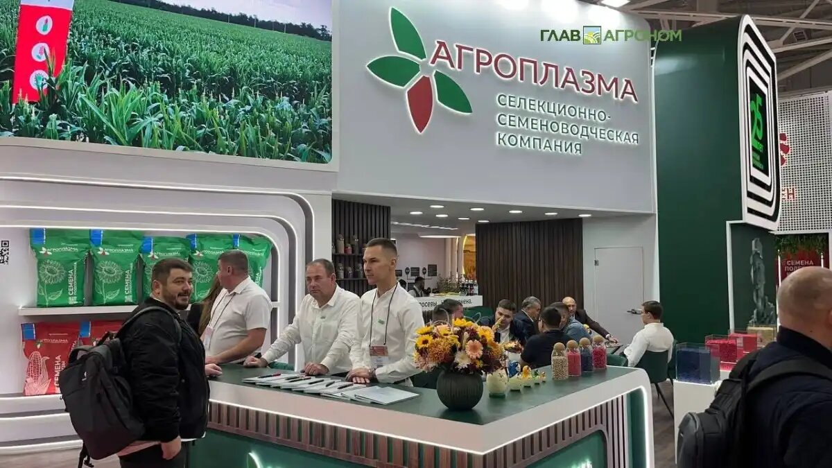 Фото:© Вера Исаенко / Glavagronom.ru
Стенд селекционно-семеноводческой компании Агроплазма на выставке ЮГАГРО 2025