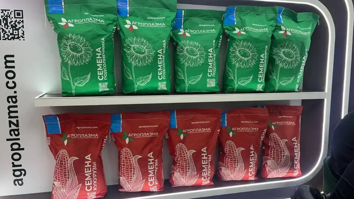 Фото:© Вера Исаенко / Glavagronom.ru
Продукция селекционно-семеноводческой компании Агроплазма на выставке ЮГАГРО 2025