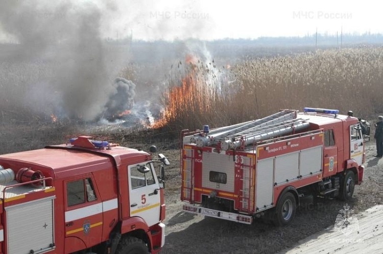    Фото ТГ-канала ГУ МЧС России по РО Татьяна Пшеничная