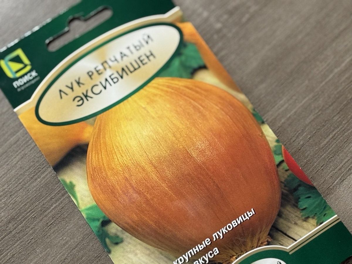 Семена лука