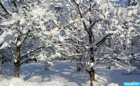 Фото из интернета