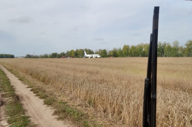    Через несколько дней после посадки самолёта в поле. Фото: Из личного архива/ Анатолий Коняшкин
