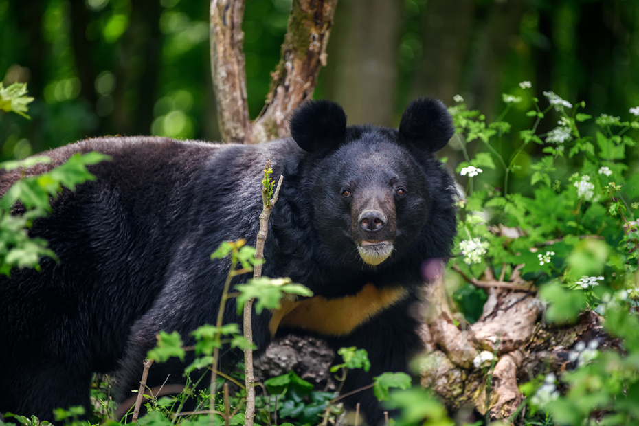    Shutterstock/FOTODOM