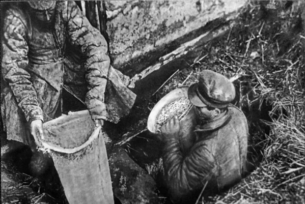 Прямой вины коллективизации в голоде 1932-33 годов не было