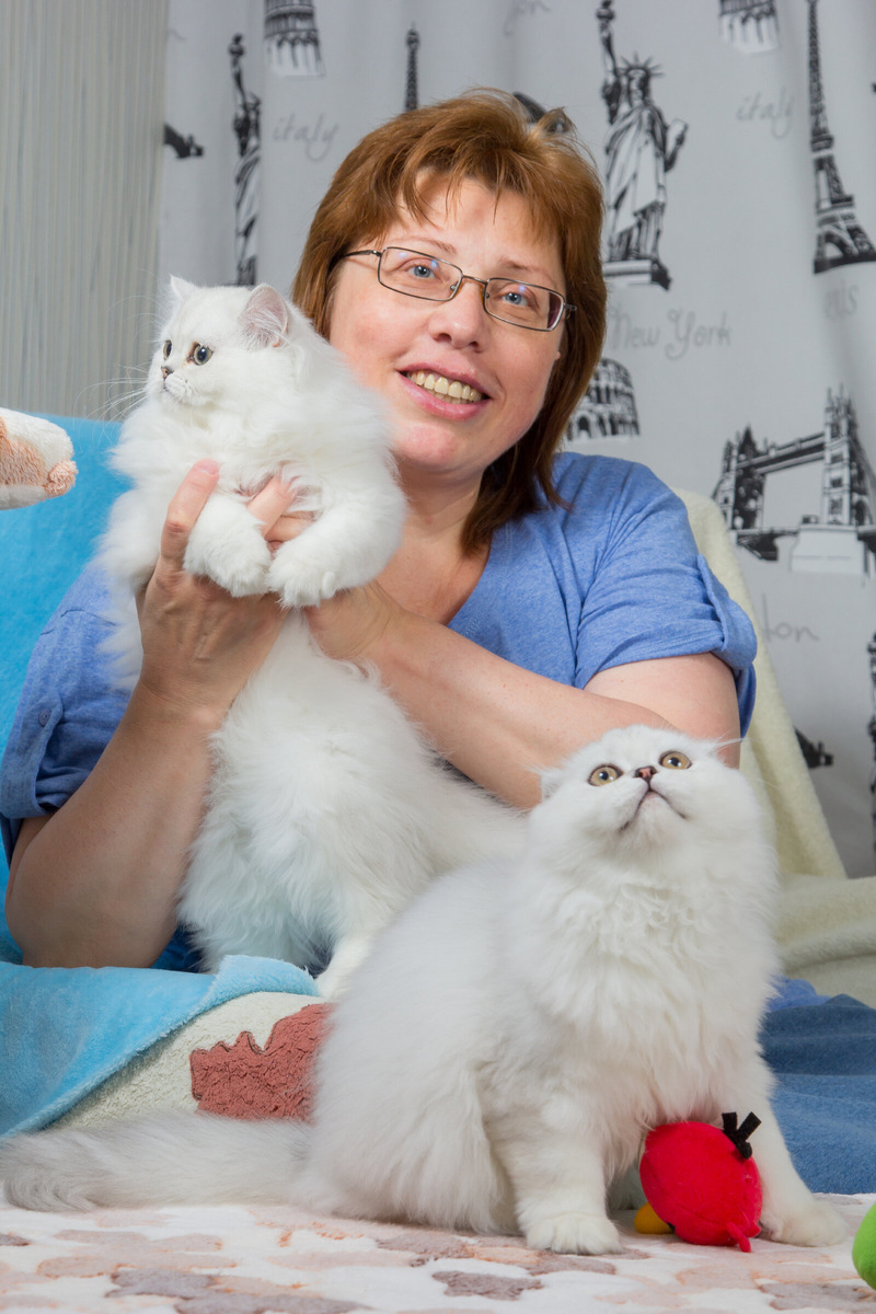 Первые котята у меня))) 