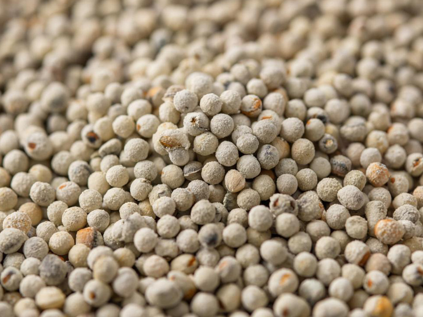 Фото сгенерировано ИИ с помощью https://t.me/gigachat_bot