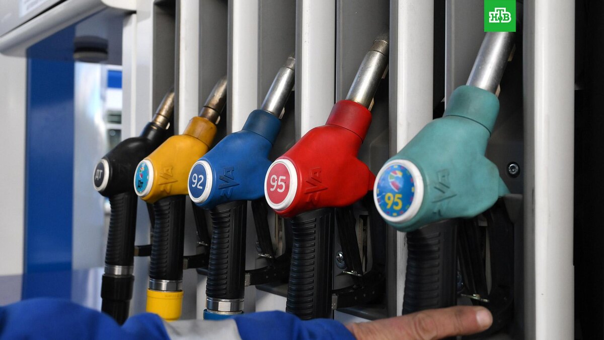    Фото: РИА Новости © 2025, Григорий Сысоев