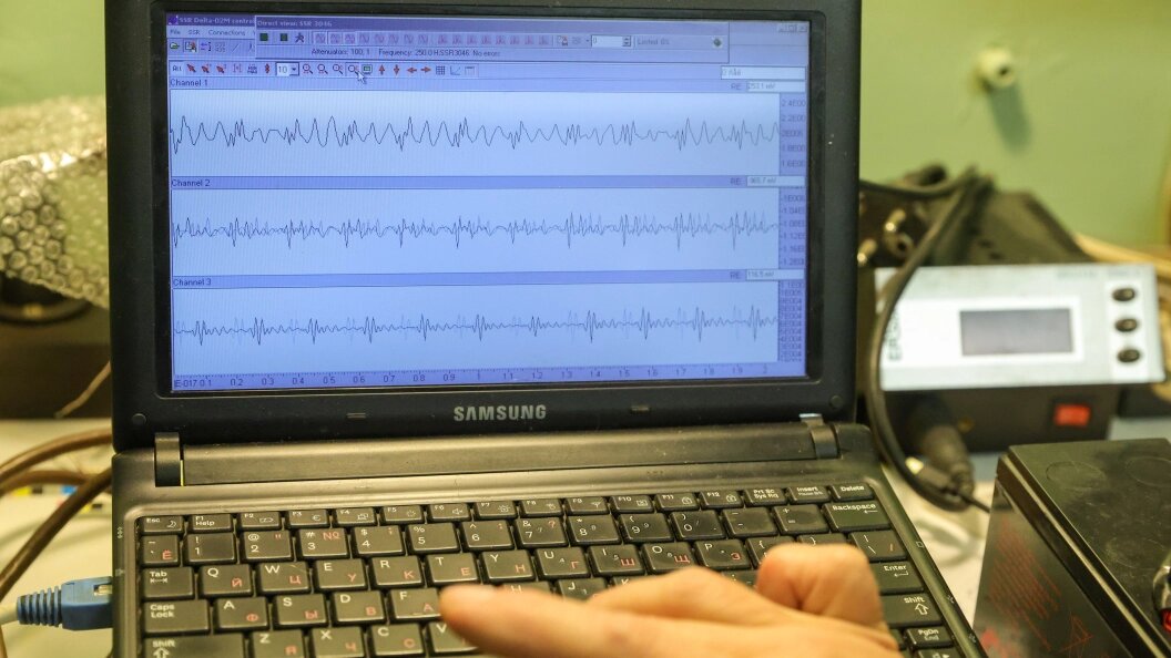    Shatokhina Natalia/news.ru/Globallookpress