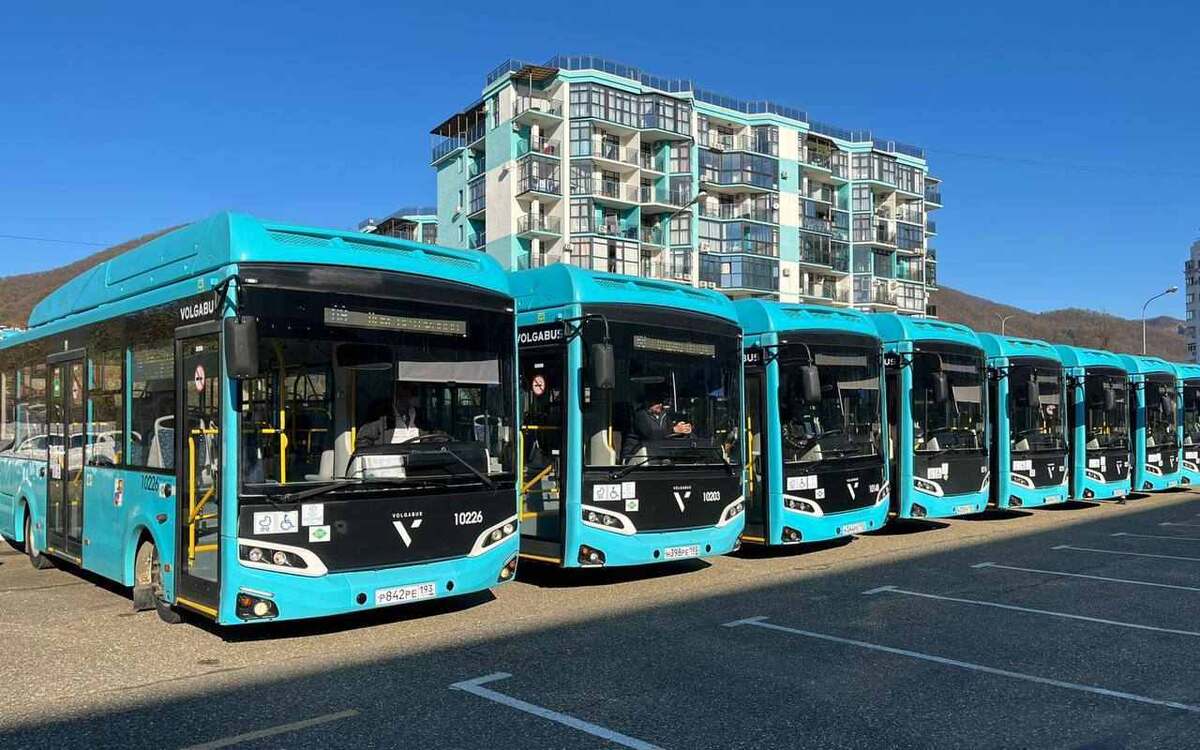    Власти Тамбова пытаются через суд взыскать с «Волгабас Групп» 9 млн рублей за просрочку поставки автобусов Фото: телеграм-канал «Волгабас Групп»