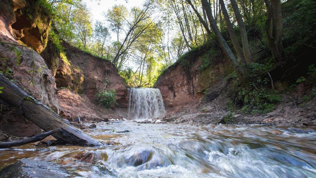    Фото: t.me/lenobladminka