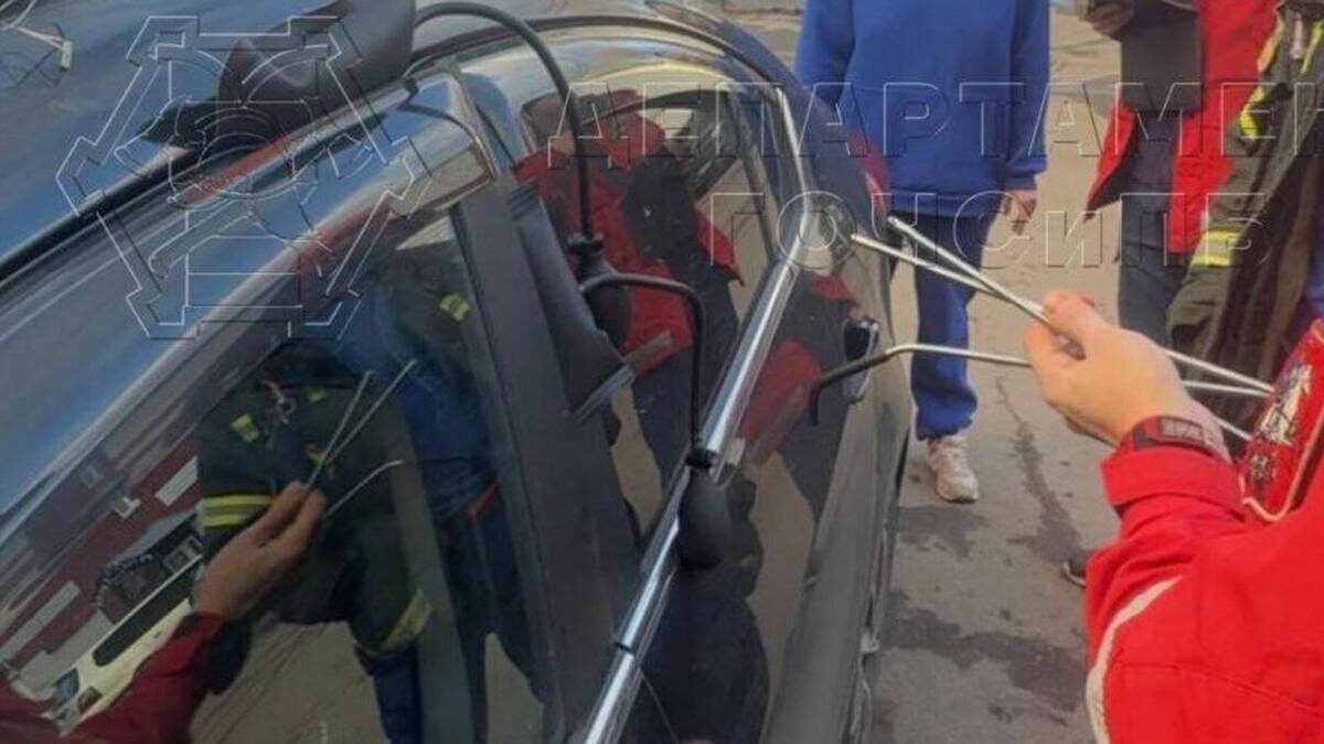    Фото: пресс-служба департамента ГОЧСиПБ / Telegram