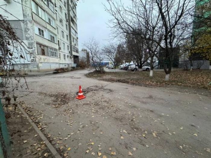 Иллюстрация: Госавтоинспекция Ростовской области