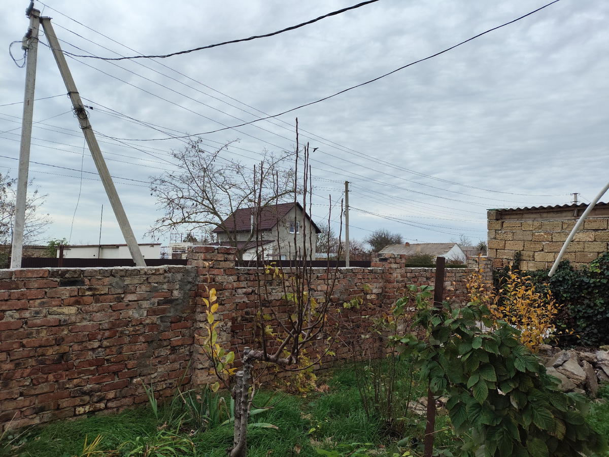 Просто осень...