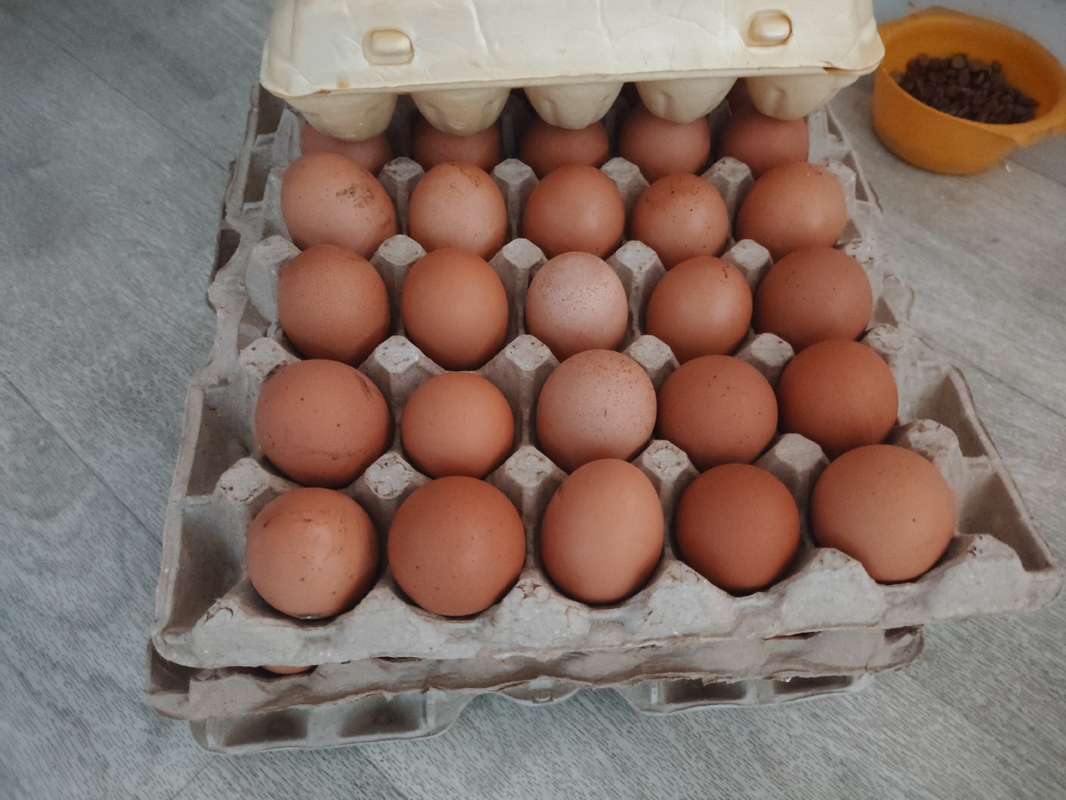 Подготовила товар ))) Крупные стали на второй год...