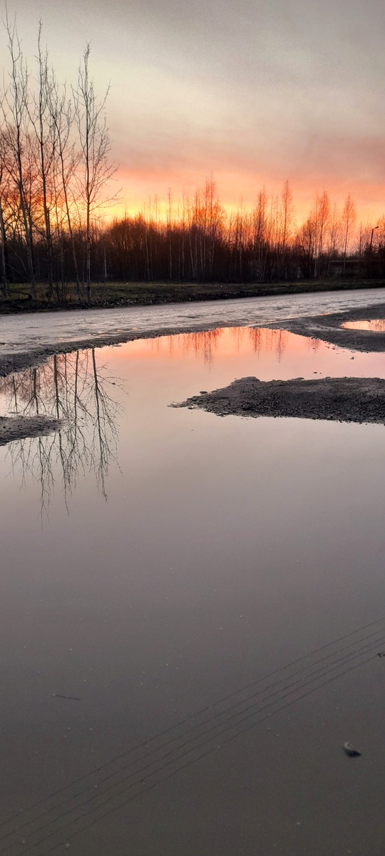 Буквально недавно была вокруг розлита вот такая меланхолия... Это ещё закат скрасил, а так - тоска, грусть, печаль...