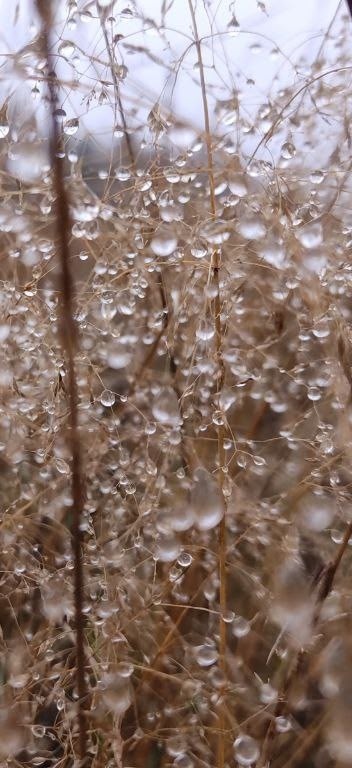 Сырость и влажность...