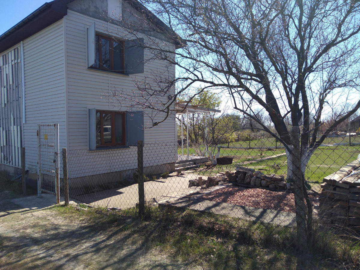 2020 год. На фоне почти пустого участка возвышается наш абрикос.  