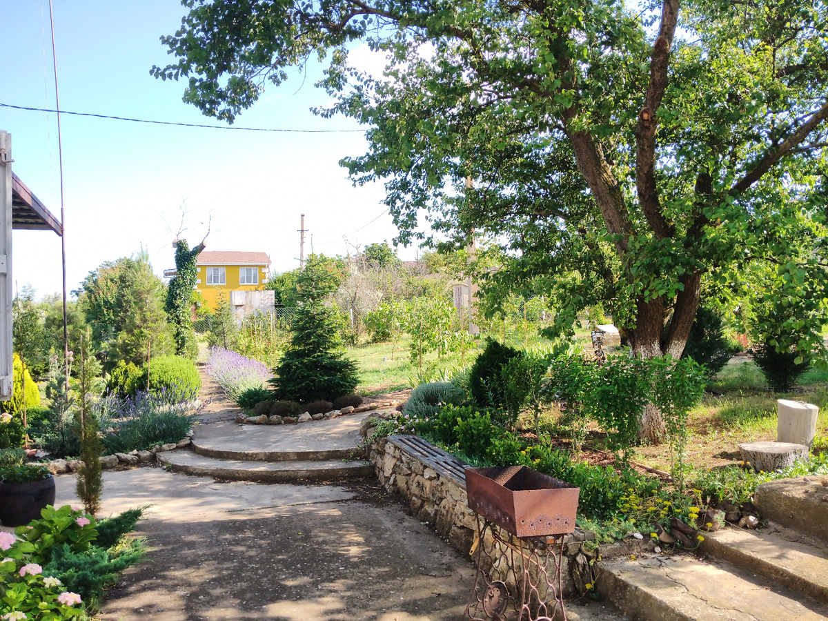 Лето 2025 года. 