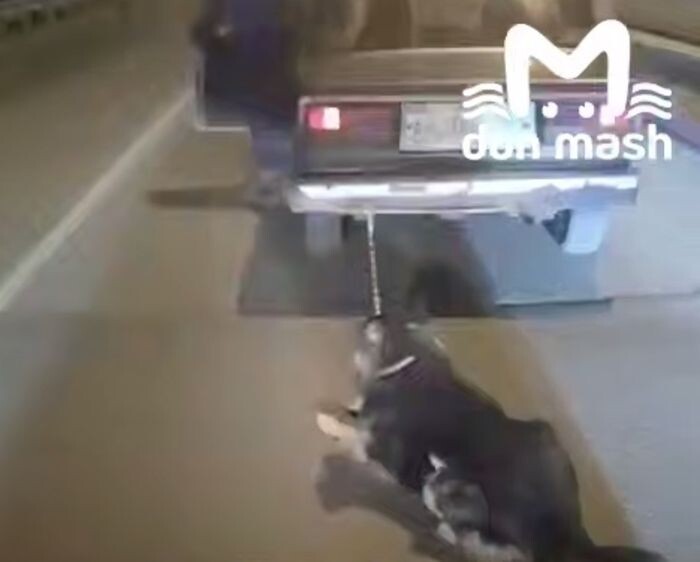 Иллюстрация: Don Mash