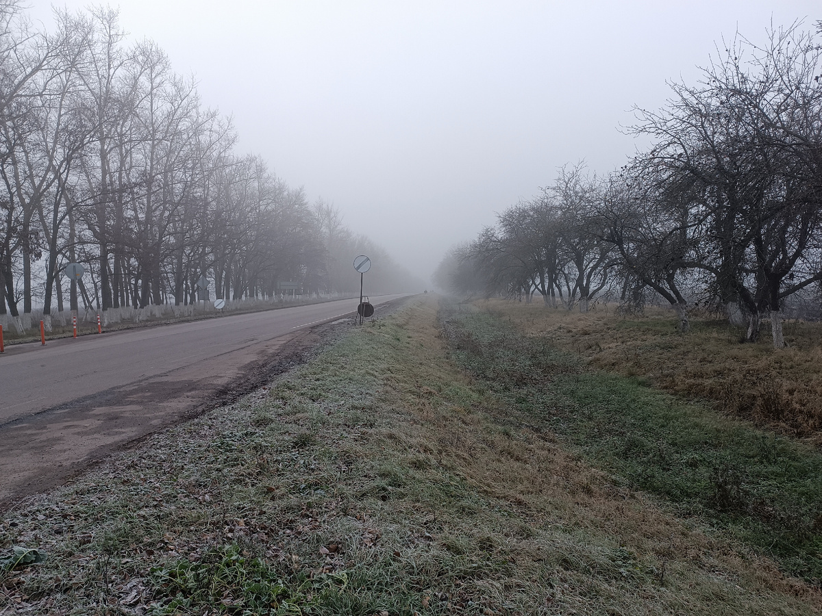 Курская область, 19 ноября