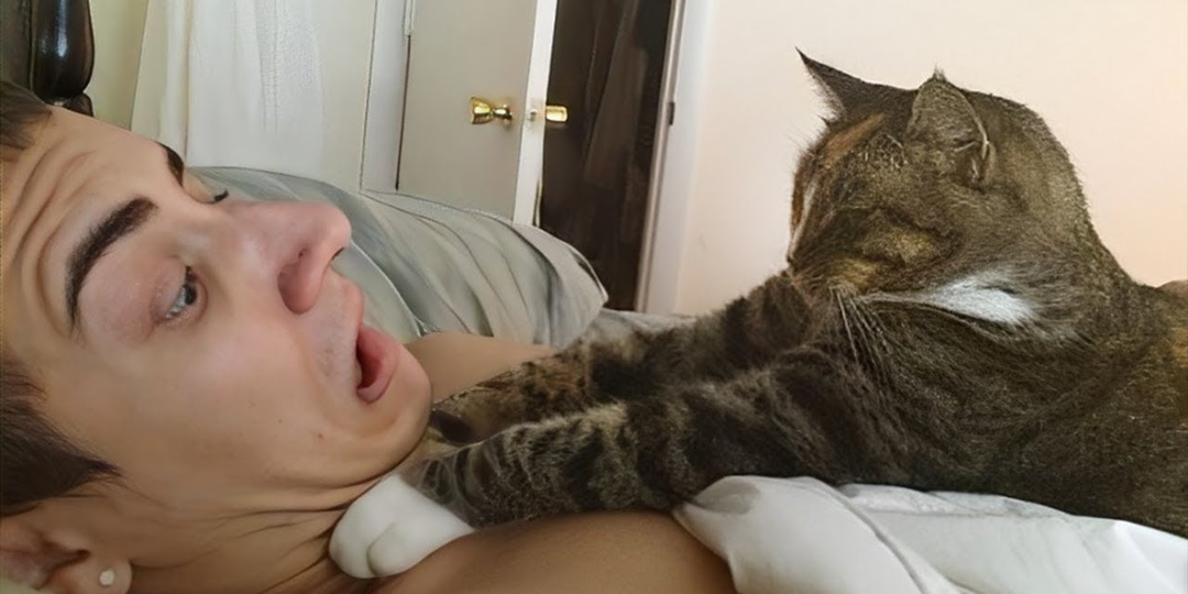 😼Можно ли перевоспитать кошку, чтобы она не будила вас в 5 утра или с этим бесполезно бороться?