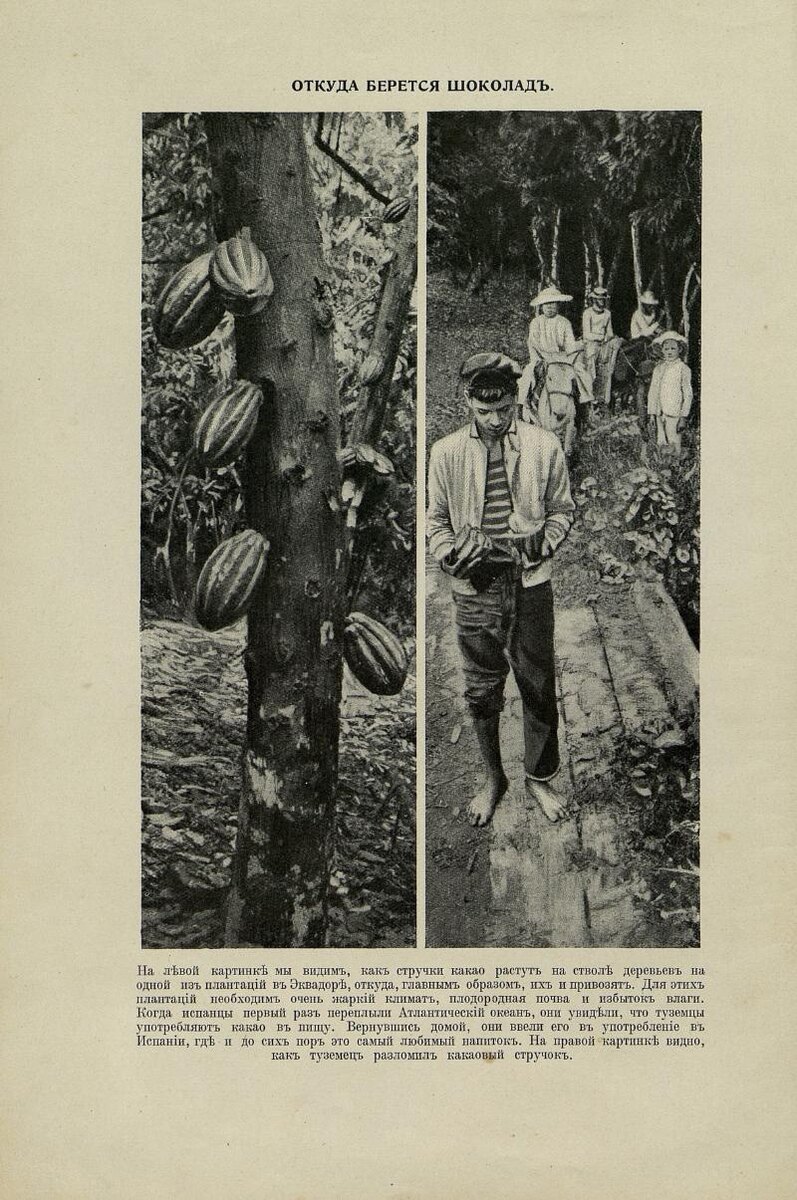 Иллюстрации из Детской энциклопедии Том 2, 1914 г.