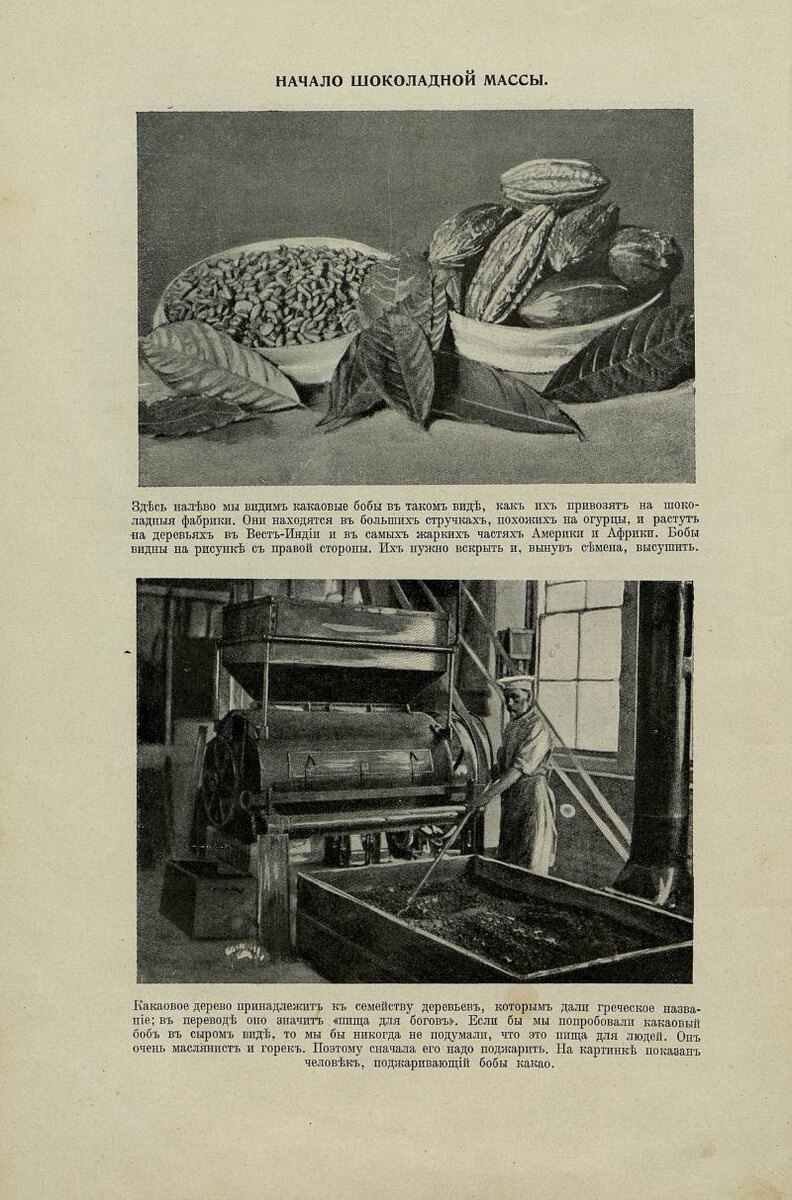 Иллюстрации из Детской энциклопедии Том 2, 1914 г.