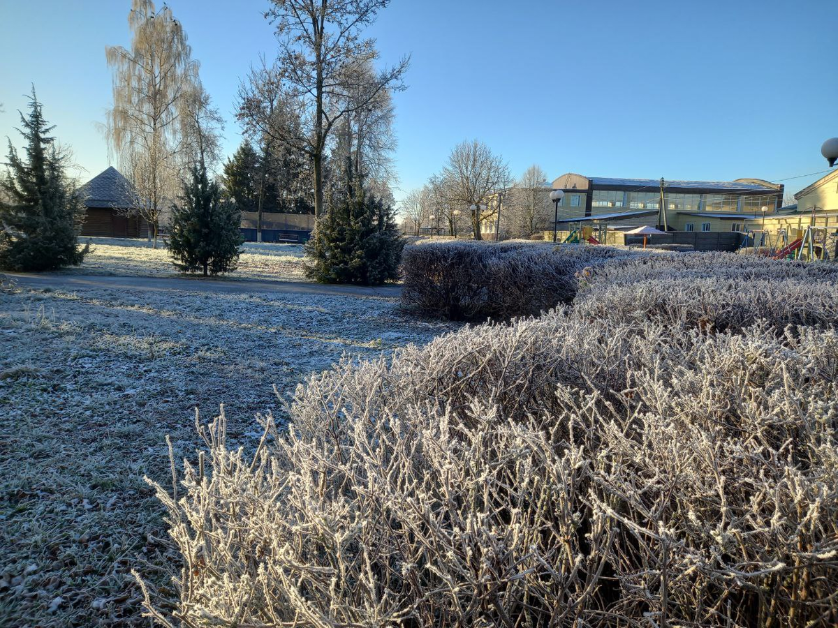 Кусочек парка ранним утром. Ноябрь. Фото автора.