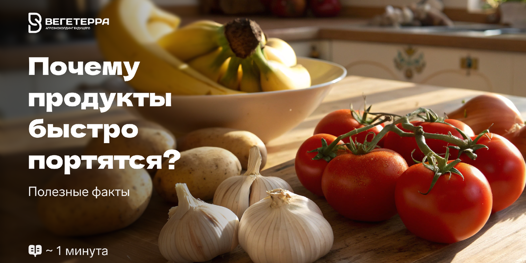 Как хранить продукты питания, чтобы они не портились