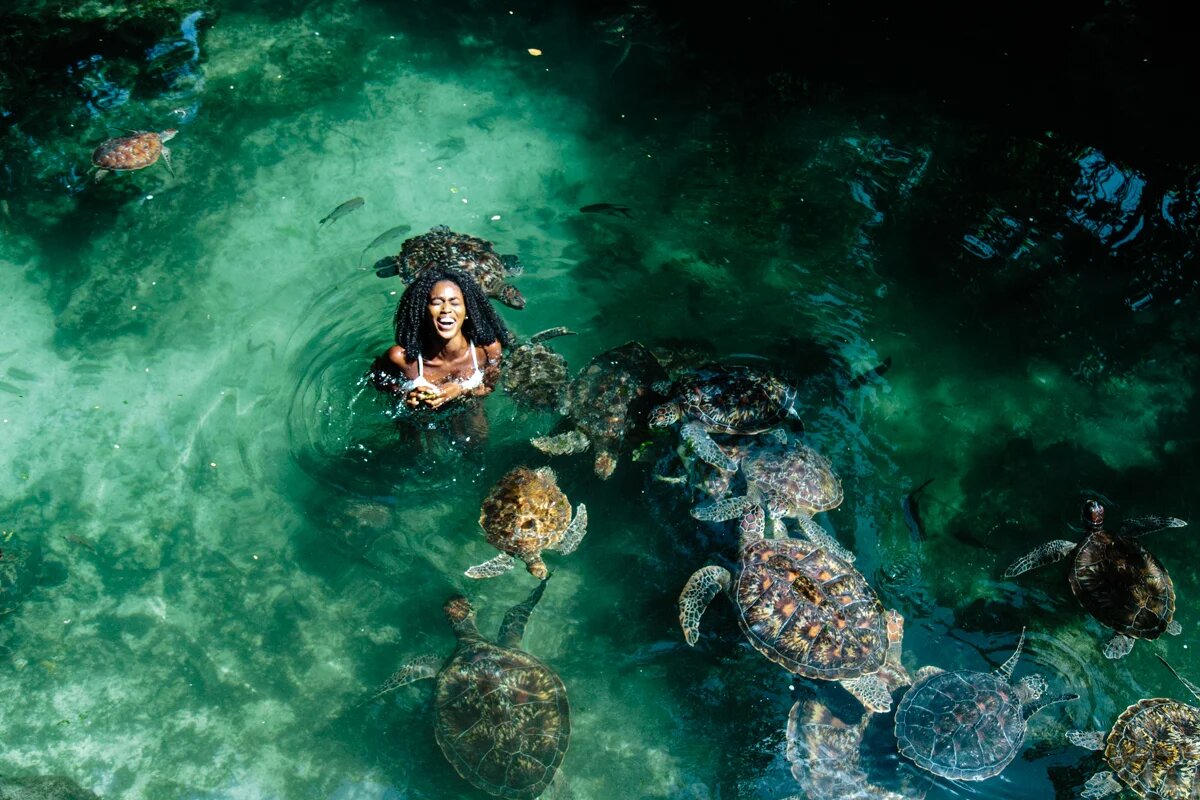 Источник: spiritedpursuit.com