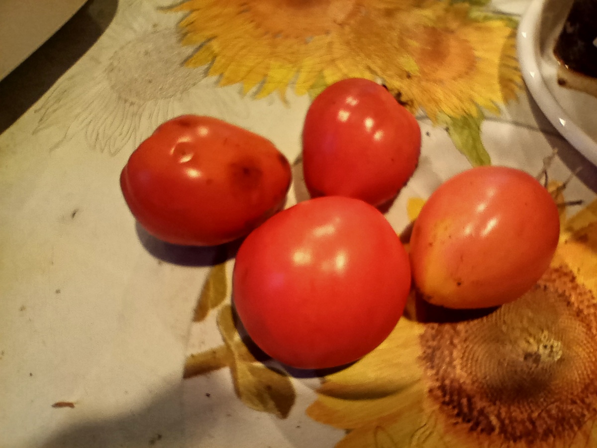 Помидорки