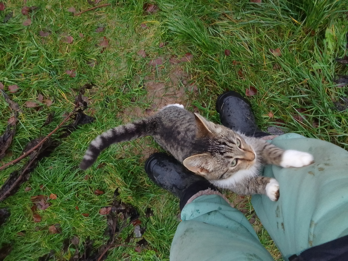 Серёженька ласковый. Возьмите, Москва и Московская область 