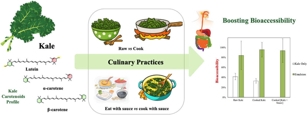    Food Nutrition (2025). DOI: 10.1016/j.fnutr.2025.100049