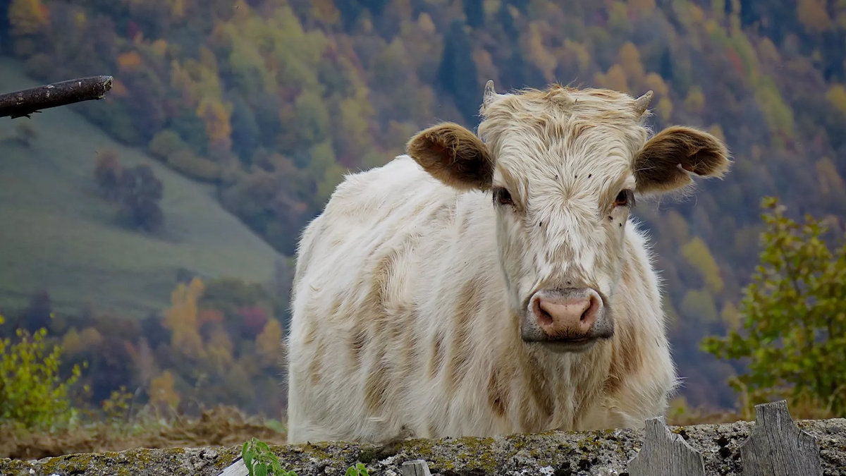 © photo: courtesy of Elizabeth Joudro