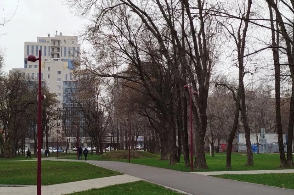    20 ноября на Белгородчине будет переменно облачно