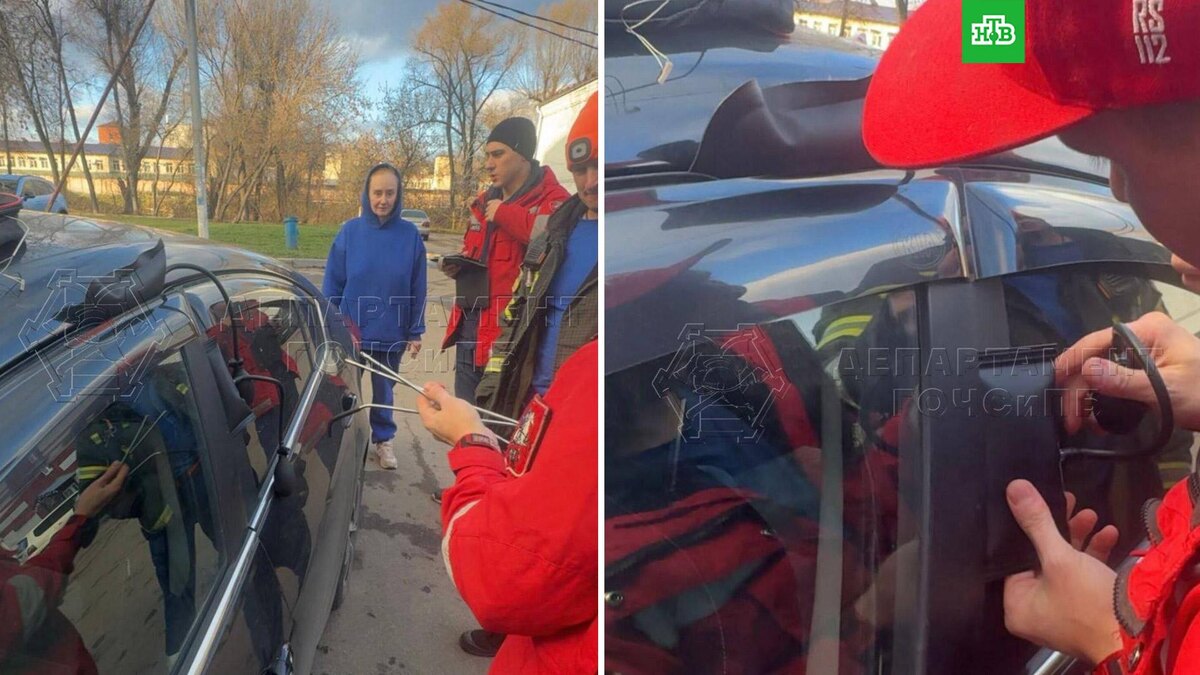    Фото: DGONews / t.me