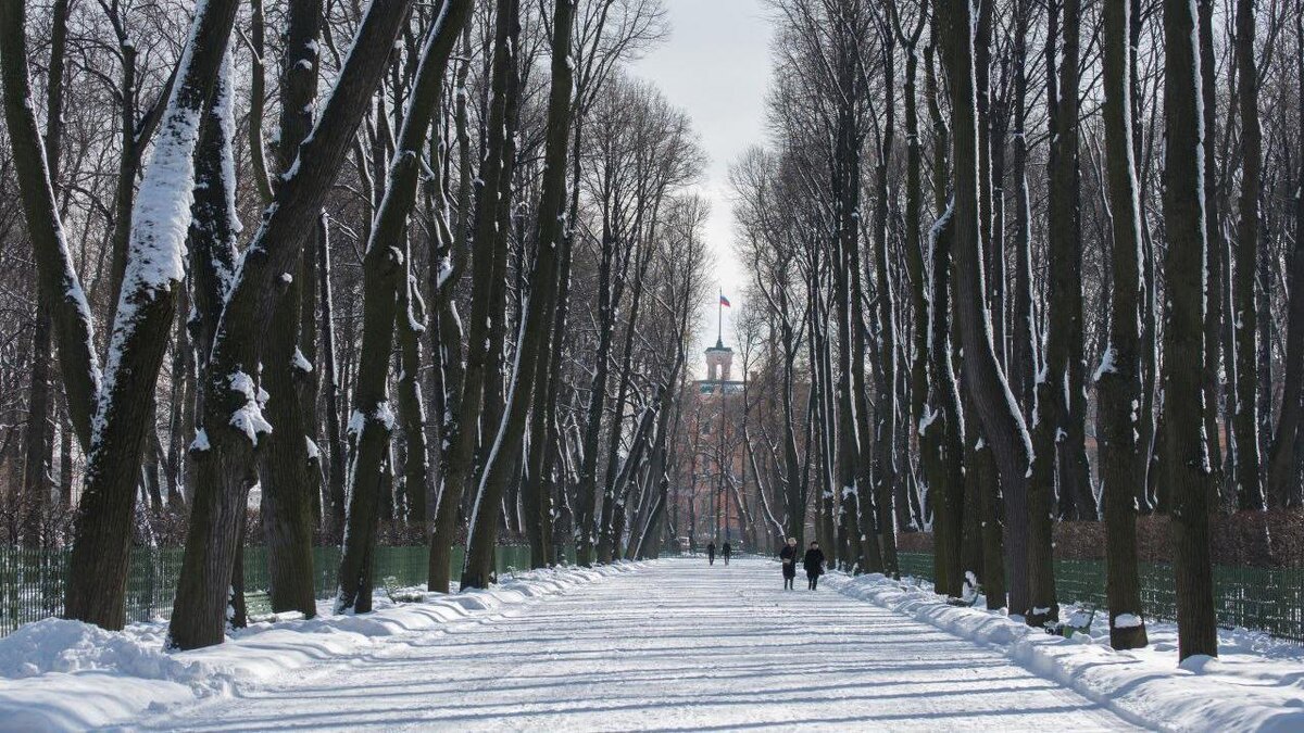    Фото: vk.com/rusmuseum