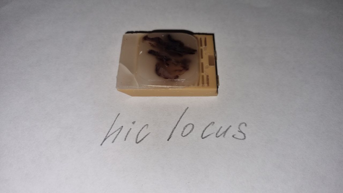 Готовый парафиновый блок "верхом" на кассетном корпусе