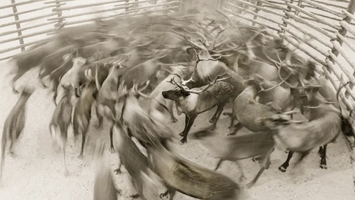 энергетические камни/ камнисилы/ защитныекамни/ энергиядвижения