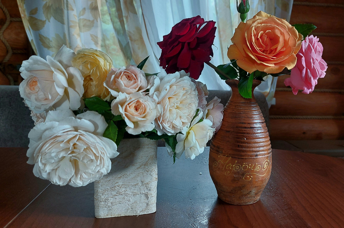 Слева "остинки". Справа ч/г розы.