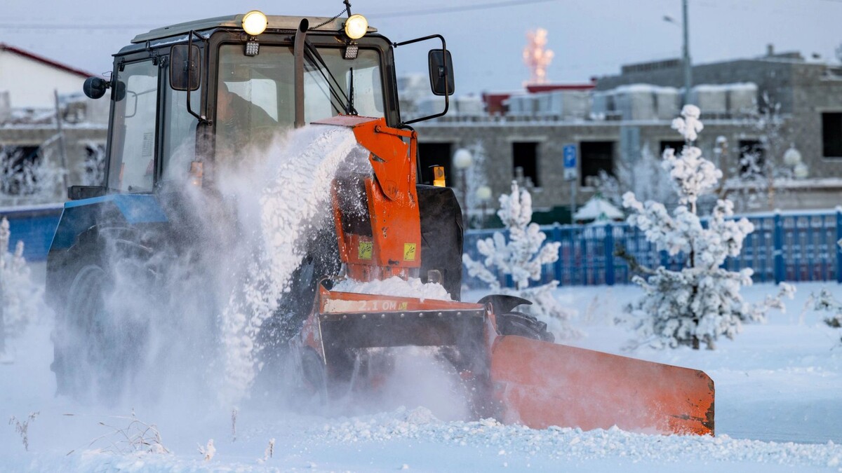    Фото: Федор Воронов/«Ямал-Медиа»