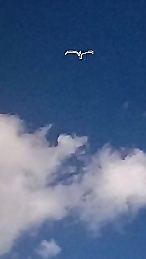 Авторская цифровая художественная фоторабота "Я нарисую небо", Фрагмент "Небо и чайка"