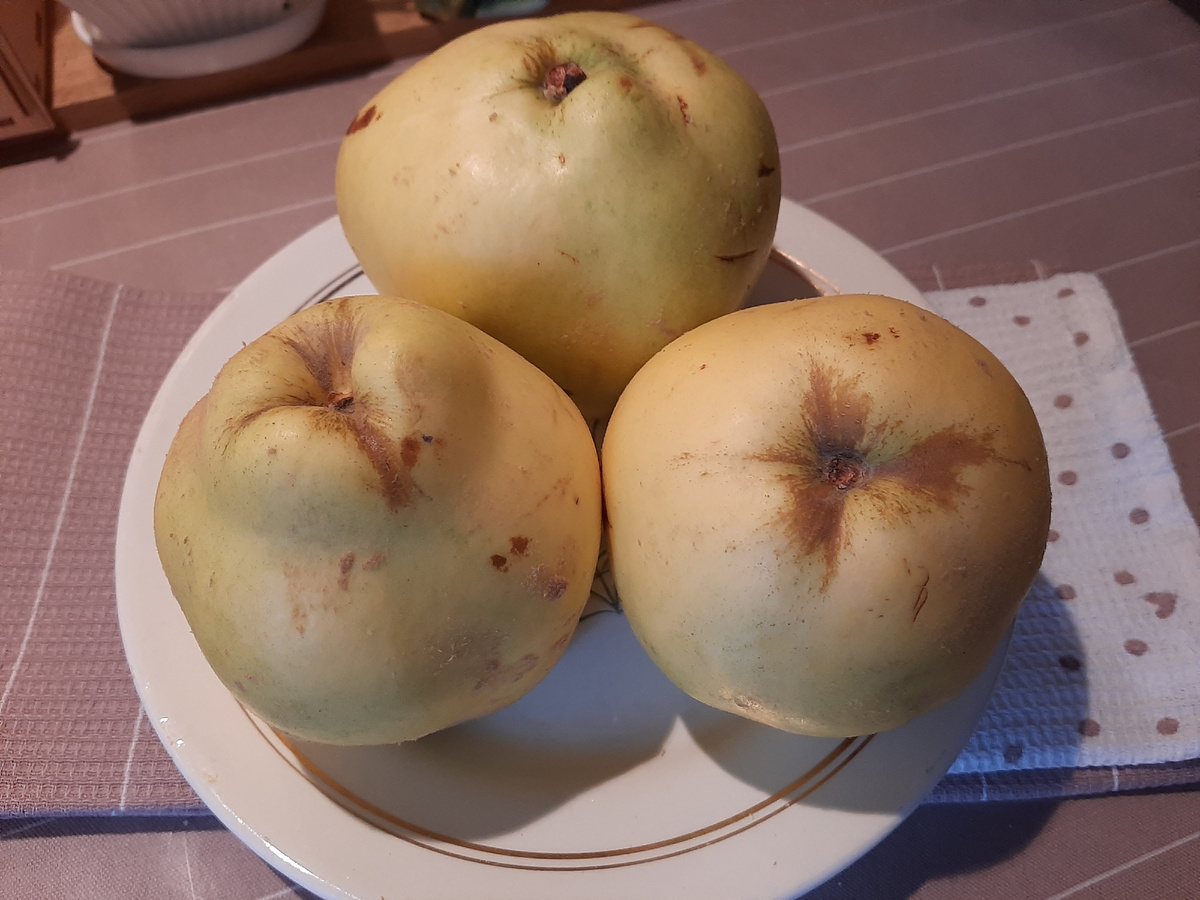 Эта красавица только из магазина отправляется на балкон