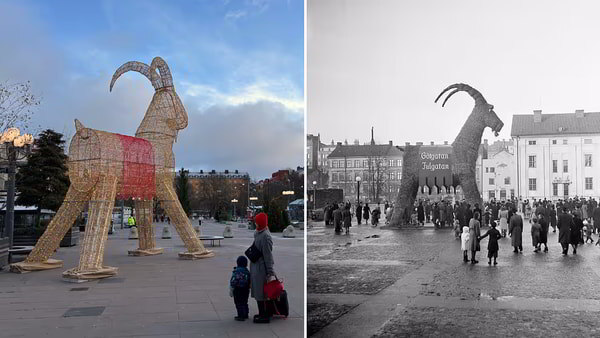    Впервые с 1945 года в Стокгольме установили рождественского козла