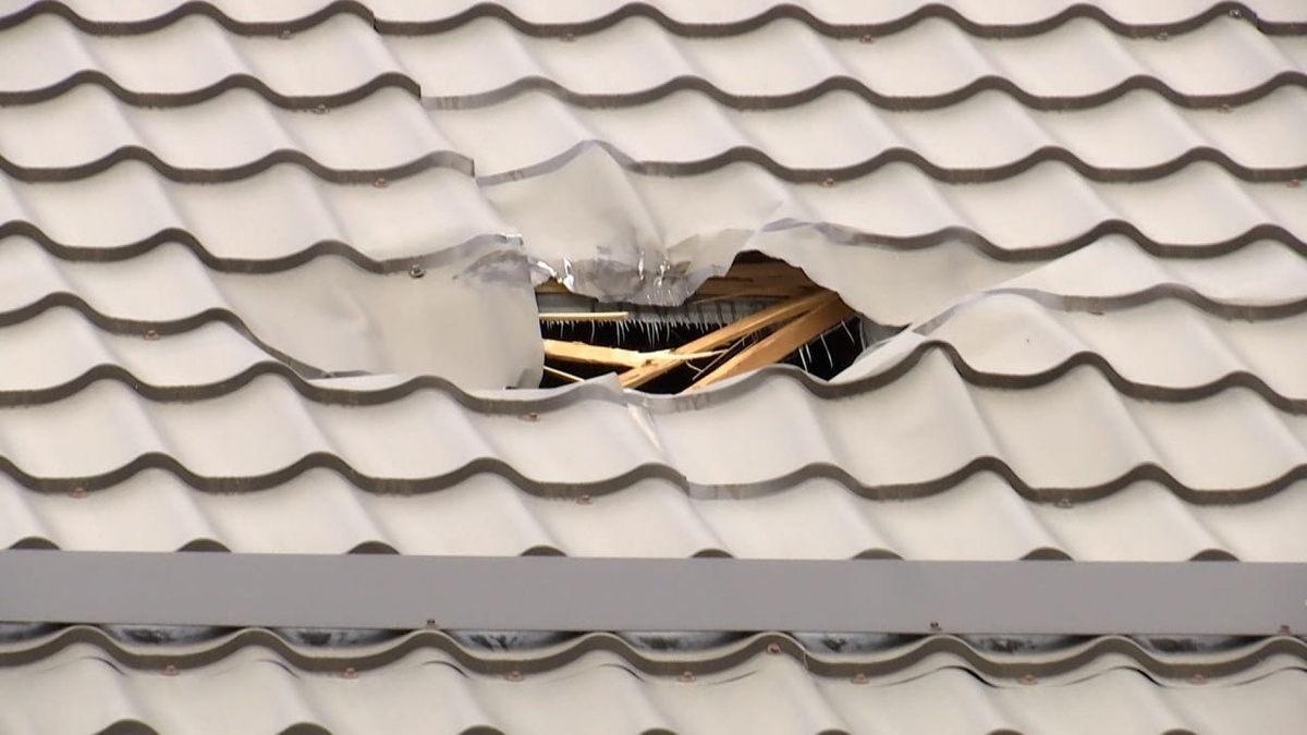    Скриншот видео телеканала «Кубань 24»