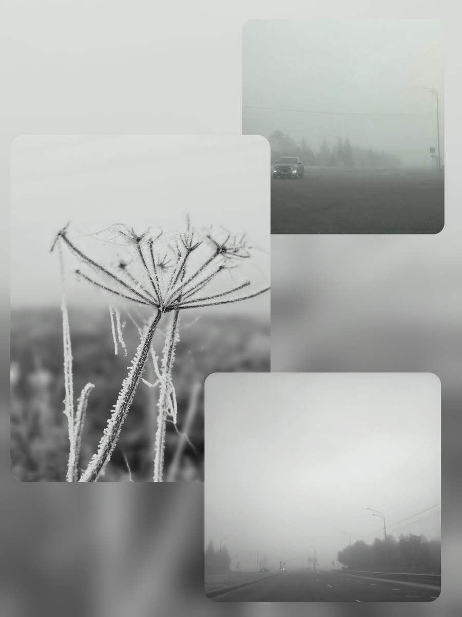 Месяц октябрь.  Туман , в любое время года , вызывает у меня не тревогу , а восхищение и любовь . Принятие и благодарность . 