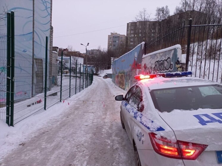     Мурманского нарушителя ПДД нашли по фото в интернете. Фото: Госавтоинспекция Мурманской области.