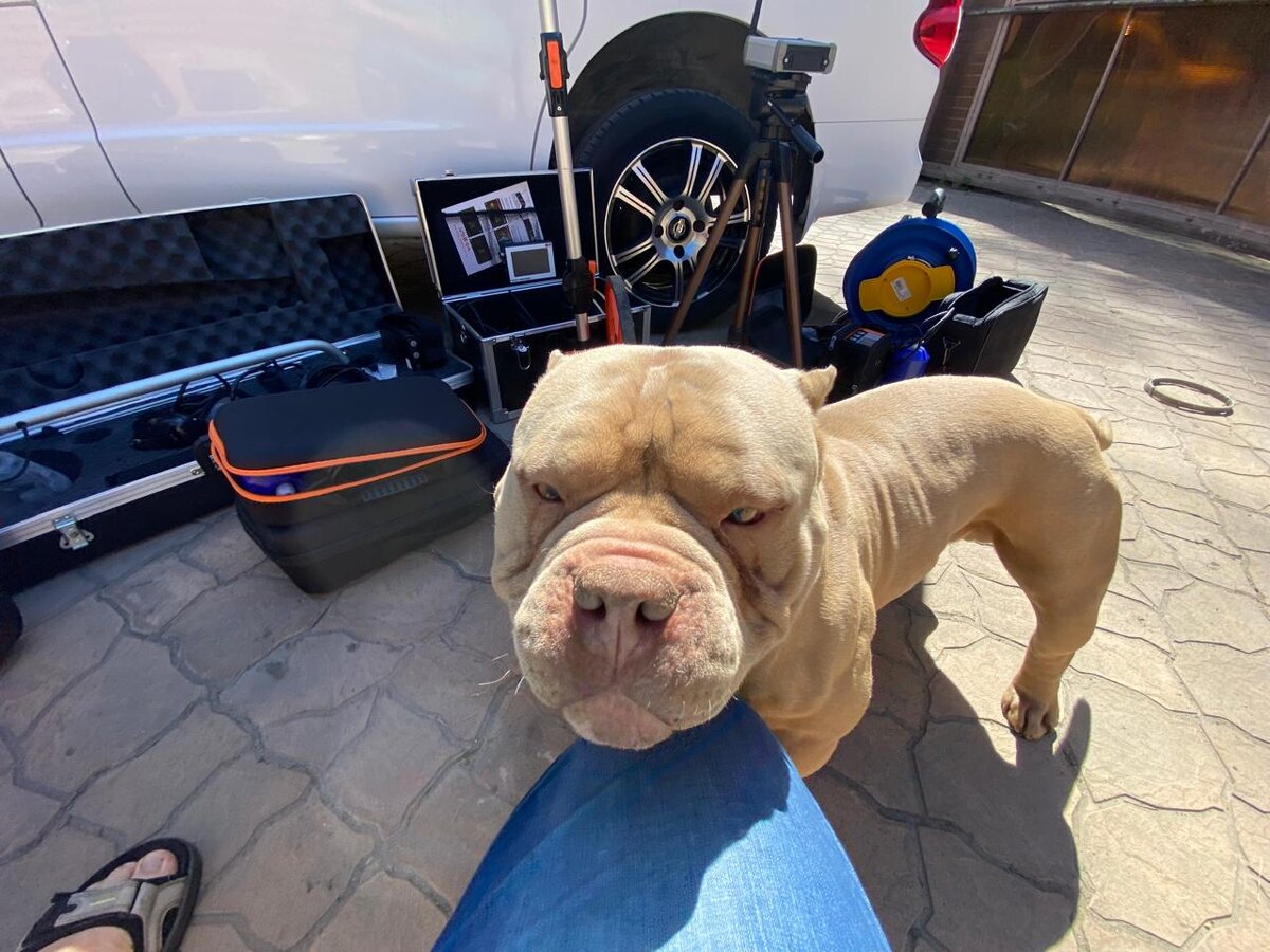 Самый точный поиск протечки с хорошим нюхом.