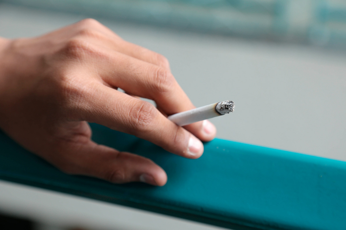    Фото: Veerapap popan / Shutterstock.com