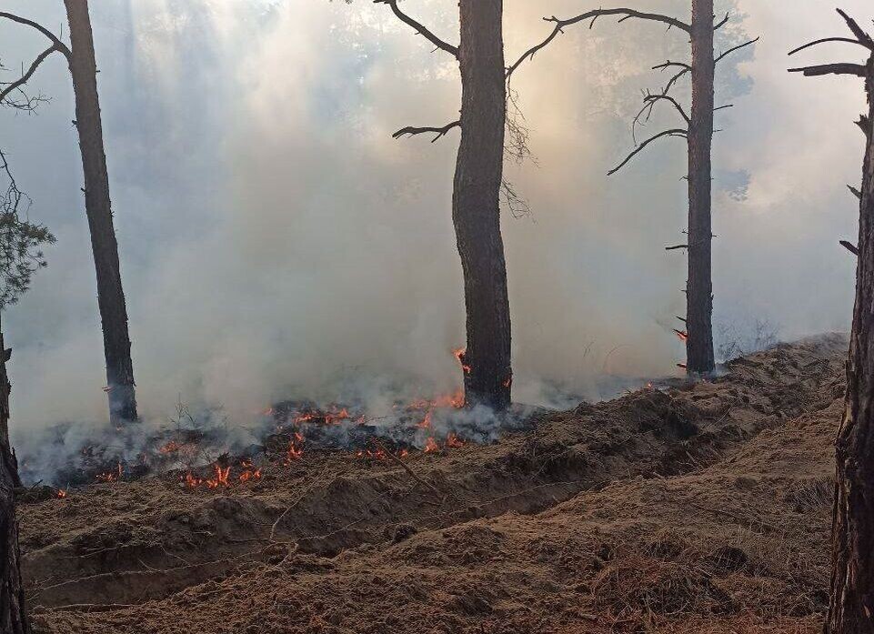    Фото: пресс-служба министерства природных ресурсов, экологии и рыболовства